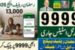 9999 Web Portal PM Ramzan Relief Package 2026 rs13000 Status Released