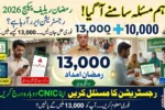 How to Solve Ramzan Relief Package 2026 Registration Error - Check Complete Solution